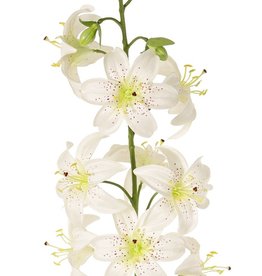 Lelie (Lilium) XL met 9 bloemen (Ø 9 cm) & 6 plastic knoppen, 98 cm