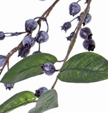 Blue huckleberry branch (Vaccinium), 5x branched, 34 berries, 20 leaves, 82 cm
