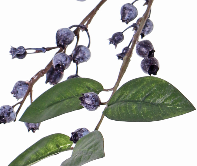 Blue huckleberry branch (Vaccinium), 5x branched, 34 berries, 20 leaves, 82 cm