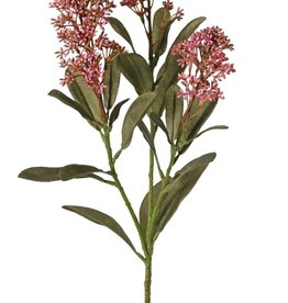 Skimmia-Zweig, 3x verzweigt, mit 3 Blütenständen, (2x XL/ 1x L) & 22 Blätter (L 6x / M 7x / S 9x), 66 cm