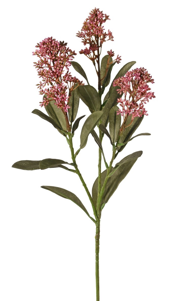 Skimmia-Zweig, 3x verzweigt, mit 3 Blütenständen, (2x XL/ 1x L) & 22 Blätter (L 6x / M 7x / S 9x), 66 cm