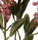 Skimmia-Zweig, 3x verzweigt, mit 3 Blütenständen, (2x XL/ 1x L) & 22 Blätter (L 6x / M 7x / S 9x), 66 cm