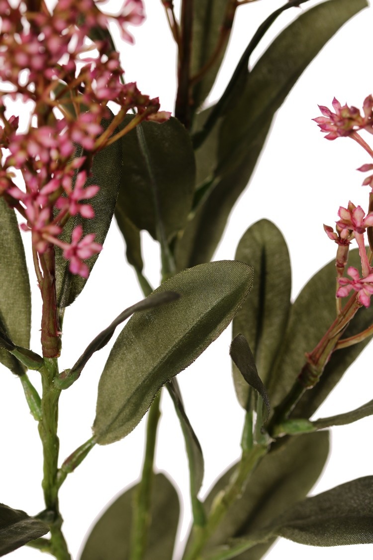 Skimmia branch, 3x branched, 3 inflorescences, (2x XL/ 1x L) & 22 leaves (L 6x / M 7x / S 9x), 66 cm