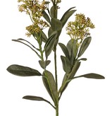 Skimmia-Zweig, 3x verzweigt, mit 3 Blütenständen, (2x XL/ 1x L) & 22 Blätter (L 6x / M 7x / S 9x), 66 cm