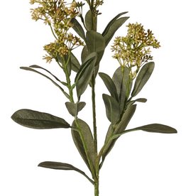 Skimmia-Zweig, 3x verzweigt, mit 3 Blütenständen, (2x XL/ 1x L) & 22 Blätter (L 6x / M 7x / S 9x), 66 cm -