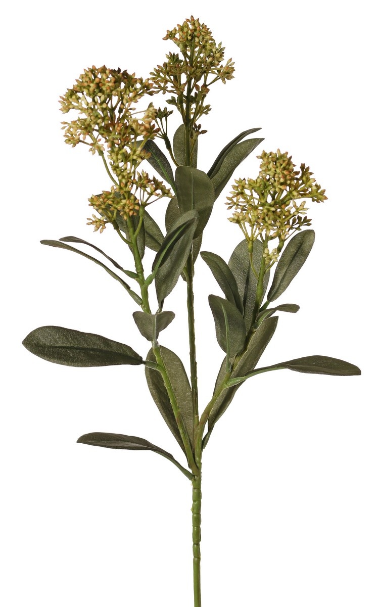 Skimmia-Zweig, 3x verzweigt, mit 3 Blütenständen, (2x XL/ 1x L) & 22 Blätter (L 6x / M 7x / S 9x), 66 cm