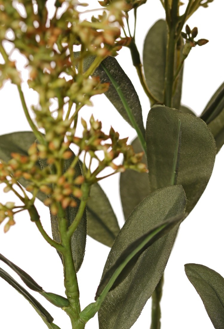 Skimmia-Zweig, 3x verzweigt, mit 3 Blütenständen, (2x XL/ 1x L) & 22 Blätter (L 6x / M 7x / S 9x), 66 cm