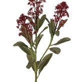 Skimmia-Zweig, 3x verzweigt, mit 3 Blütenständen, (2x XL/ 1x L) & 22 Blätter (L 6x / M 7x / S 9x), 66 cm