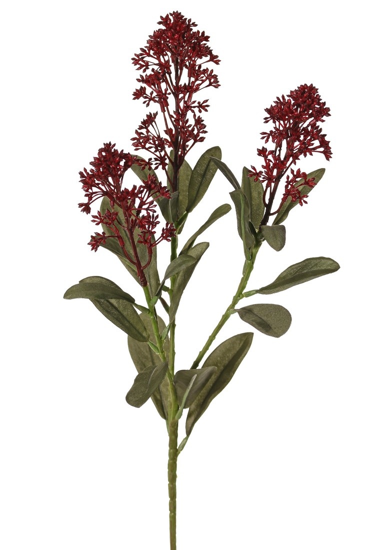 Skimmia-Zweig, 3x verzweigt, mit 3 Blütenständen, (2x XL/ 1x L) & 22 Blätter (L 6x / M 7x / S 9x), 66 cm