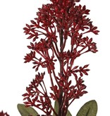 Skimmia-Zweig, 3x verzweigt, mit 3 Blütenständen, (2x XL/ 1x L) & 22 Blätter (L 6x / M 7x / S 9x), 66 cm