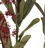 Skimmia branch, 3x branched, 3 inflorescences, (2x XL/ 1x L) & 22 leaves (L 6x / M 7x / S 9x), 66 cm