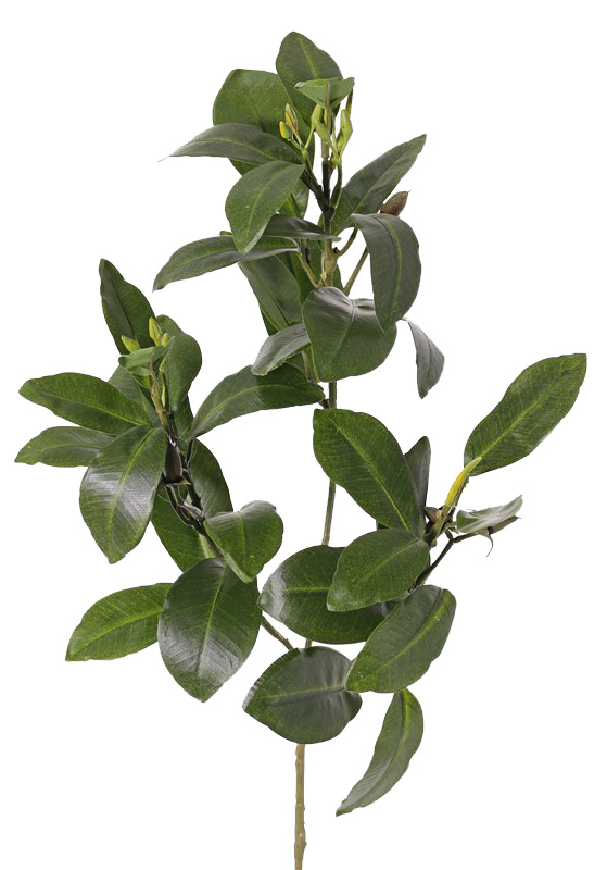 Mangrove Branch with 36 leaves and berries, fire retardant, 58 cm