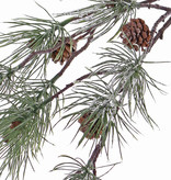 Pine spray (Pinus) "Frosted", 4 real cones & 10 pine clusters, 81cm