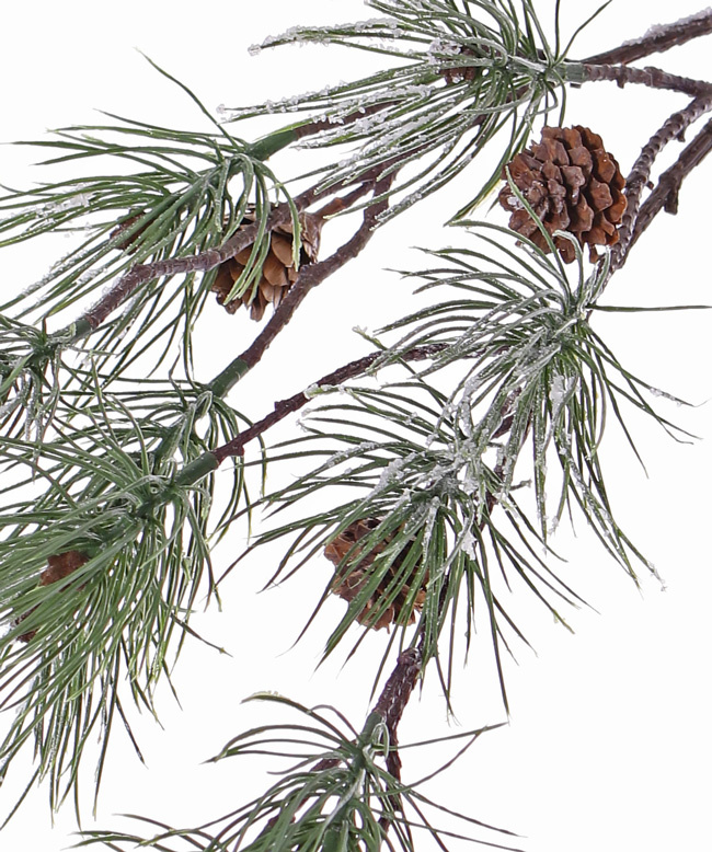 Dennentak (Pinus) "Frosted", 4 real cones & 10 pine clusters, 81cm