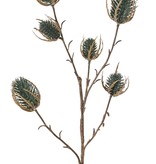 Thistle branch (Eryngium) 'Earthy Garden' 5x branched with 6 thistles (XL 3x / S 3x), 64 cm