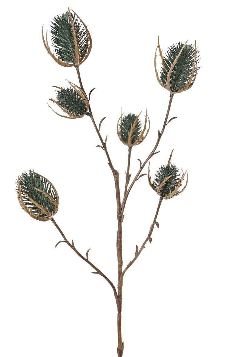 Thistle branch (Eryngium) 'Earthy Garden' 5x branched with 6 thistles (XL 3x / S 3x), 64 cm