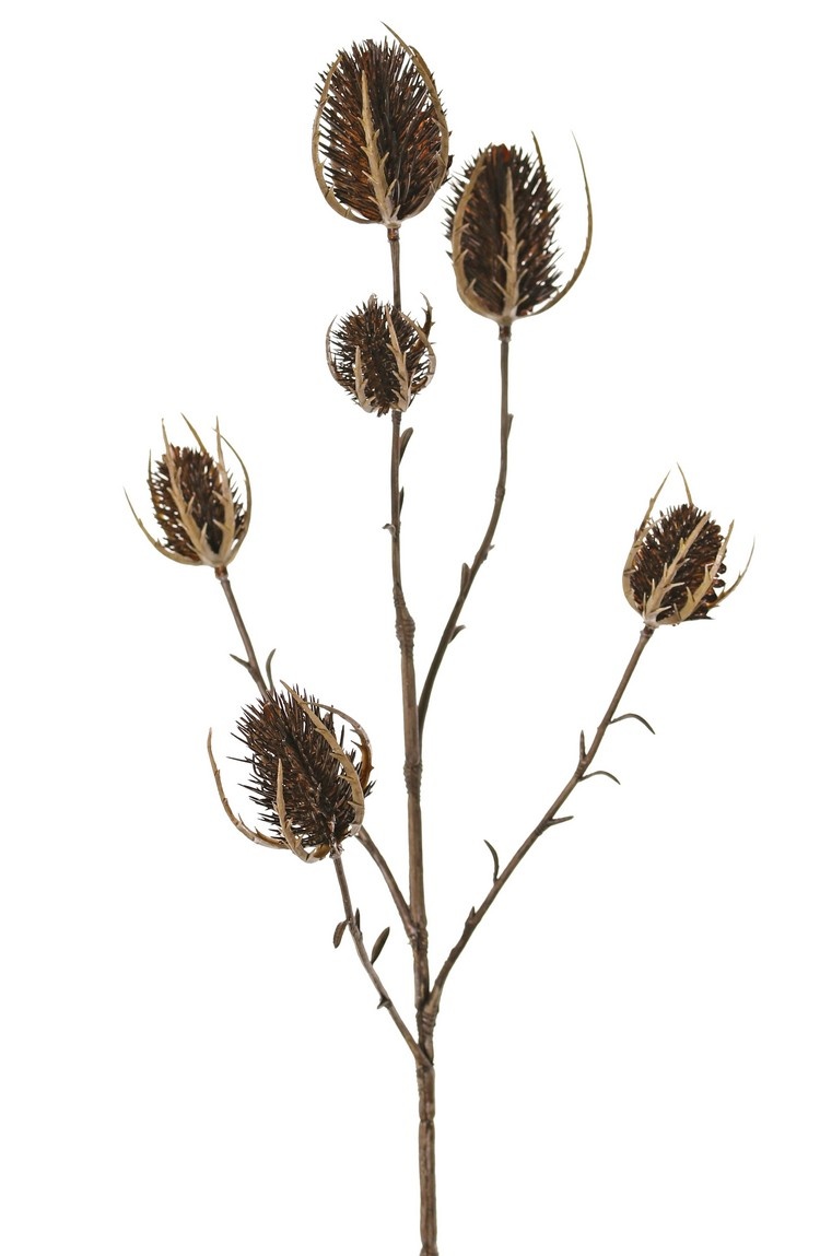 Thistle branch (Eryngium) 'Earthy Garden' 5x branched with 6 thistles (XL 3x / S 3x), 64 cm