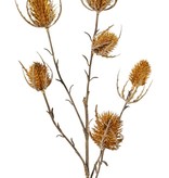 Thistle branch (Eryngium) 'Earthy Garden' 5x branched with 6 thistles (XL 3x / S 3x), 64 cm
