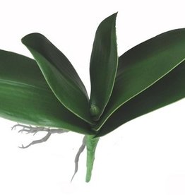 Phalaenopsis bladtoef (zacht plastic) met 5 bladeren met draad (2x L /1x M /2x S) & luchtwortels, Ø 26, H.21 cm