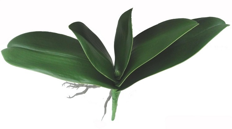 Orchideenblatt (weiches Plastik) mit 5 Blättern mit Draht, (2x L /1x M /2x S) & Luftwurzeln, Ø 26 cm, H.21 cm