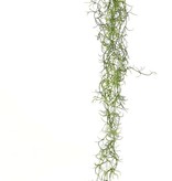 Tillandsia-Hänger mit 24 Ausläufern, Vollplastik, 115 cm