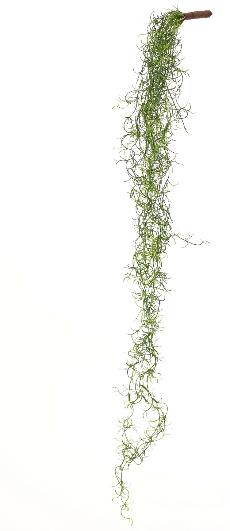 Tillandsia-Hänger mit 24 Ausläufern, Vollplastik, 115 cm