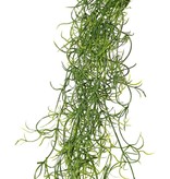 Tillandsia (Spanish moss) with 24 runners, full plastic, 115 cm