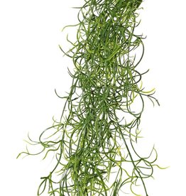 Tillandsia (Spanish moss) with 24 runners, full plastic, 115 cm