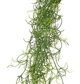 Tillandsiahanger (Spaans mos) met 24 uitlopers, volplastic, 115 cm