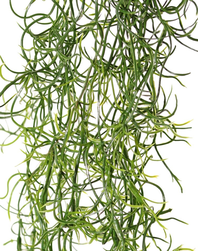 Tillandsia (Spanish moss) with 24 runners, full plastic, 115 cm