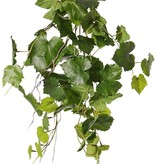 Druivenplant (Vitis vinifera) met 54 bladeren, 2 klimwortels & 3 plastic bladtoeven, UV bestendig, 60 cm