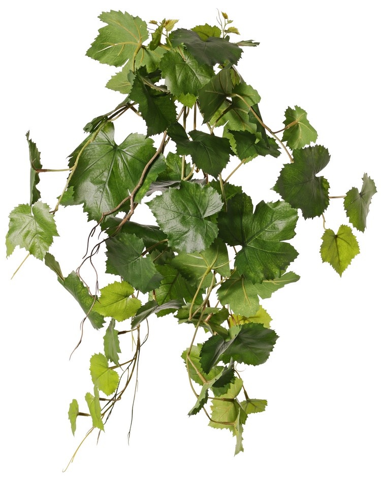 Grape plant (Vitis vinifera) with 54 leaves, 2 climbing roots & 3 plastic leaf tips, UV resistant, 60 cm