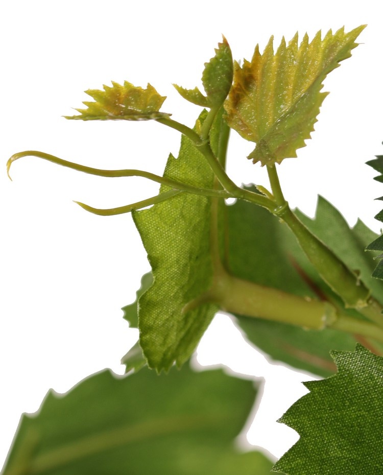 Weinpflanze (Vitis vinifera) mit 54 Blättern, 2 Kletterwurzeln & 3 Blattspitzen aus Kunststoff, UV-beständig, 60 cm