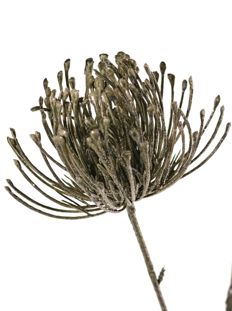 Leucospermum (Speldenkussen) 3x vertakt met 3 bloemen (Ø 8 cm) met glitter, 85 cm