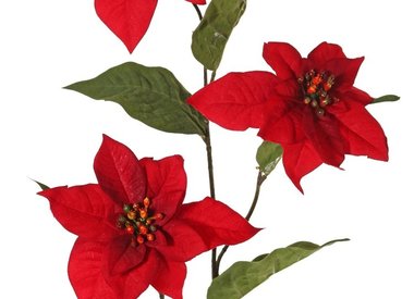 Kunstblume Poinsettie, Weihnachtsstern