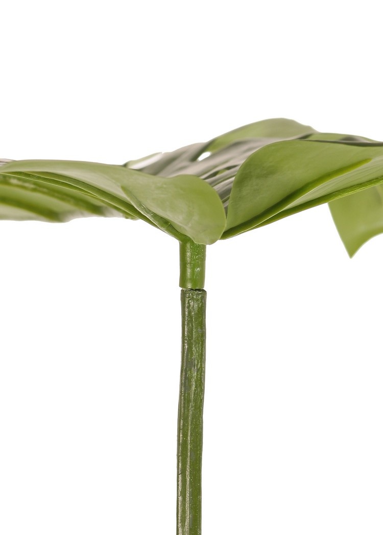 Monstera leaf (Sweet Cheese plant) "Chi" (PE), Ø 36 x 34 cm, 60 cm