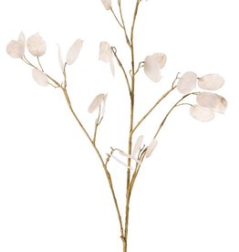 Lunaria, 27 hojas, 93 cm