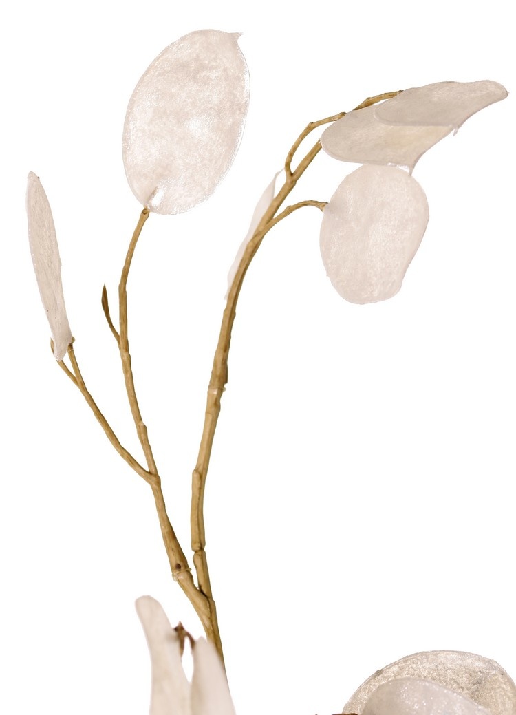 Lunaria, 27 hojas, 93 cm