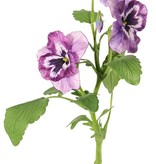 Viooltje (Viola) met 3 bloemen (2x Ø 6 cm, 1x Ø 4 cm), 1 knop & 12 bladeren, 35 cm