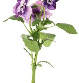 Las violetas (Viola), 3 flores, (2x Ø 6 cm, 1x Ø 4 cm), 1 capullo & 12 hojas, 35 cm