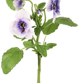 Veilchen (Viola), 3 Blüten (2x Ø 6 cm, 1x Ø 4 cm), 1 Knospe & 12 Blätter, 35 cm
