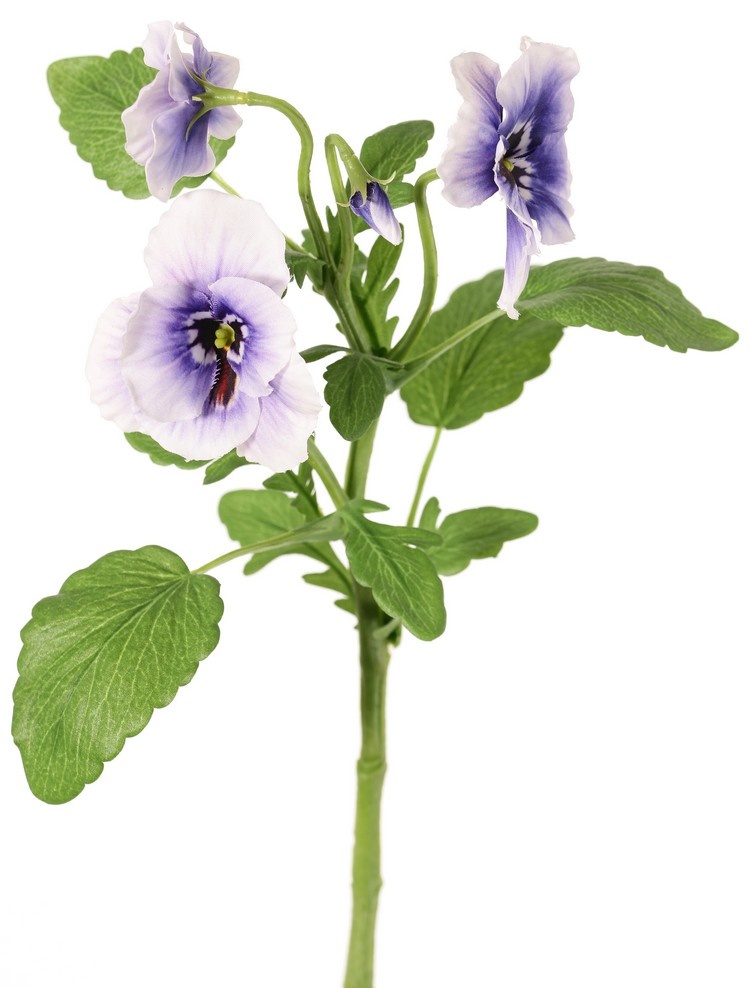 Viola, 3 flowers (2x Ø 6 cm, 1x Ø 4 cm), 1 bud & 12 leaves, 35 cm