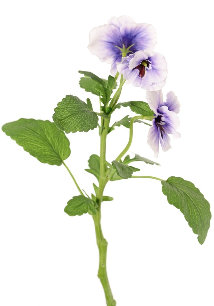 Viola, 3 flowers (2x Ø 6 cm, 1x Ø 4 cm), 1 bud & 12 leaves, 35 cm