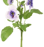 Viooltje (Viola) met 3 bloemen (2x Ø 6 cm, 1x Ø 4 cm), 1 knop & 12 bladeren, 35 cm