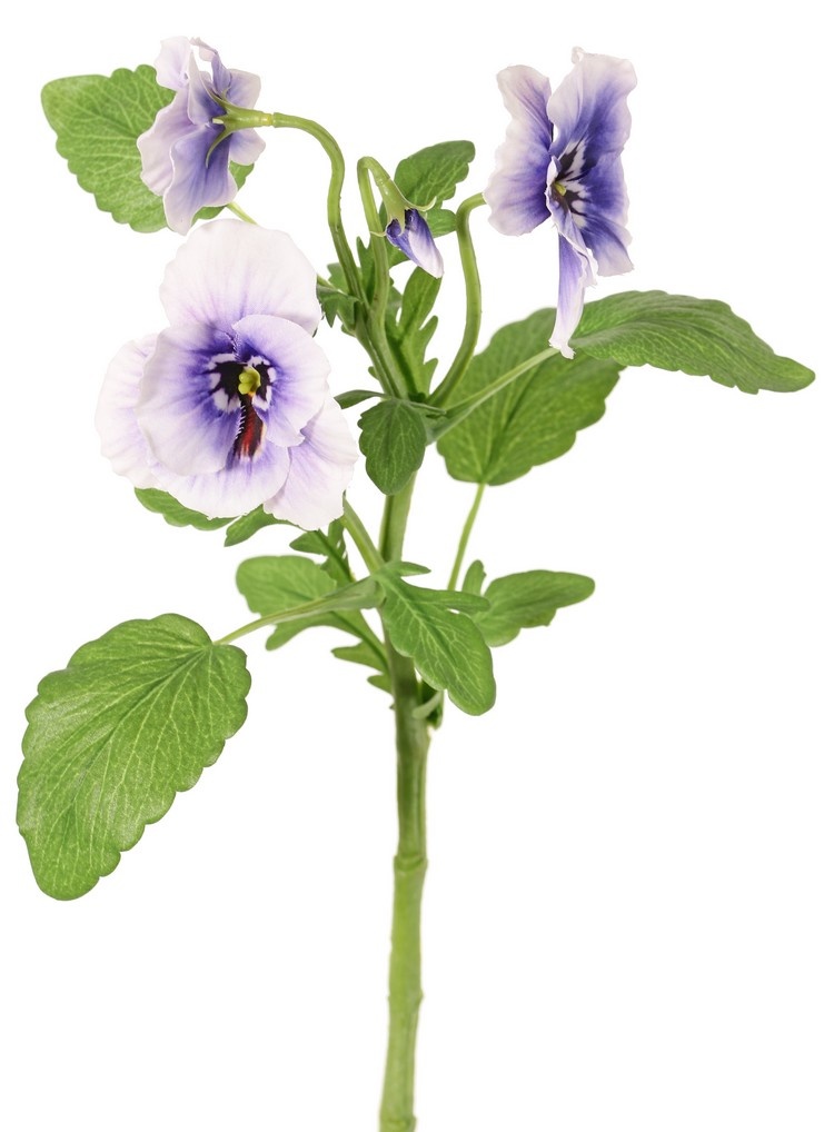 Las violetas (Viola), 3 flores, (2x Ø 6 cm, 1x Ø 4 cm), 1 capullo & 12 hojas, 35 cm