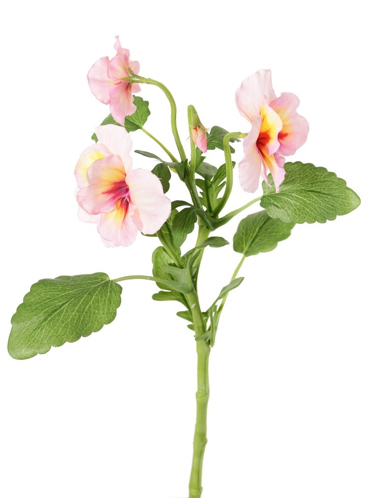 Viola, 3 flowers (2x Ø 6 cm, 1x Ø 4 cm), 1 bud & 12 leaves, 35 cm