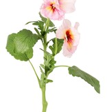 Veilchen (Viola), 3 Blüten (2x Ø 6 cm, 1x Ø 4 cm), 1 Knospe & 12 Blätter, 35 cm