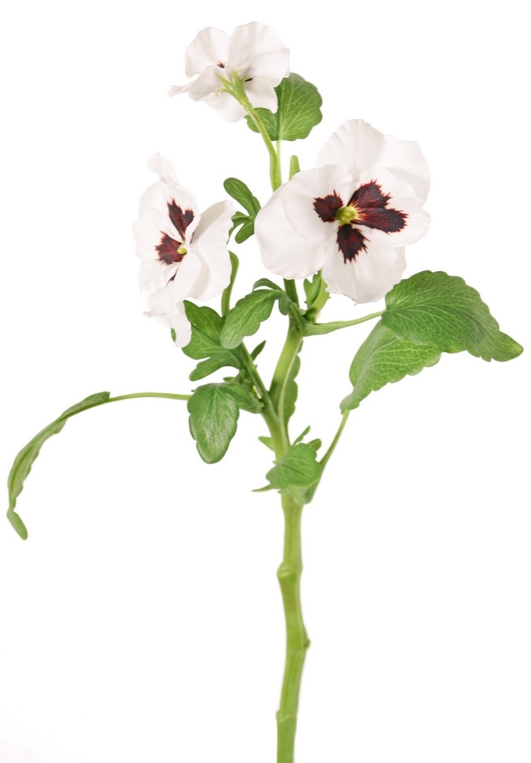 Viola, 3 flowers (2x Ø 6 cm, 1x Ø 4 cm), 1 bud & 12 leaves, 35 cm