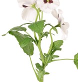 Las violetas (Viola), 3 flores, (2x Ø 6 cm, 1x Ø 4 cm), 1 capullo & 12 hojas, 35 cm