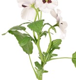 Veilchen (Viola), 3 Blüten (2x Ø 6 cm, 1x Ø 4 cm), 1 Knospe & 12 Blätter, 35 cm